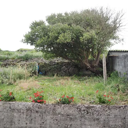 O Afiador Appartement